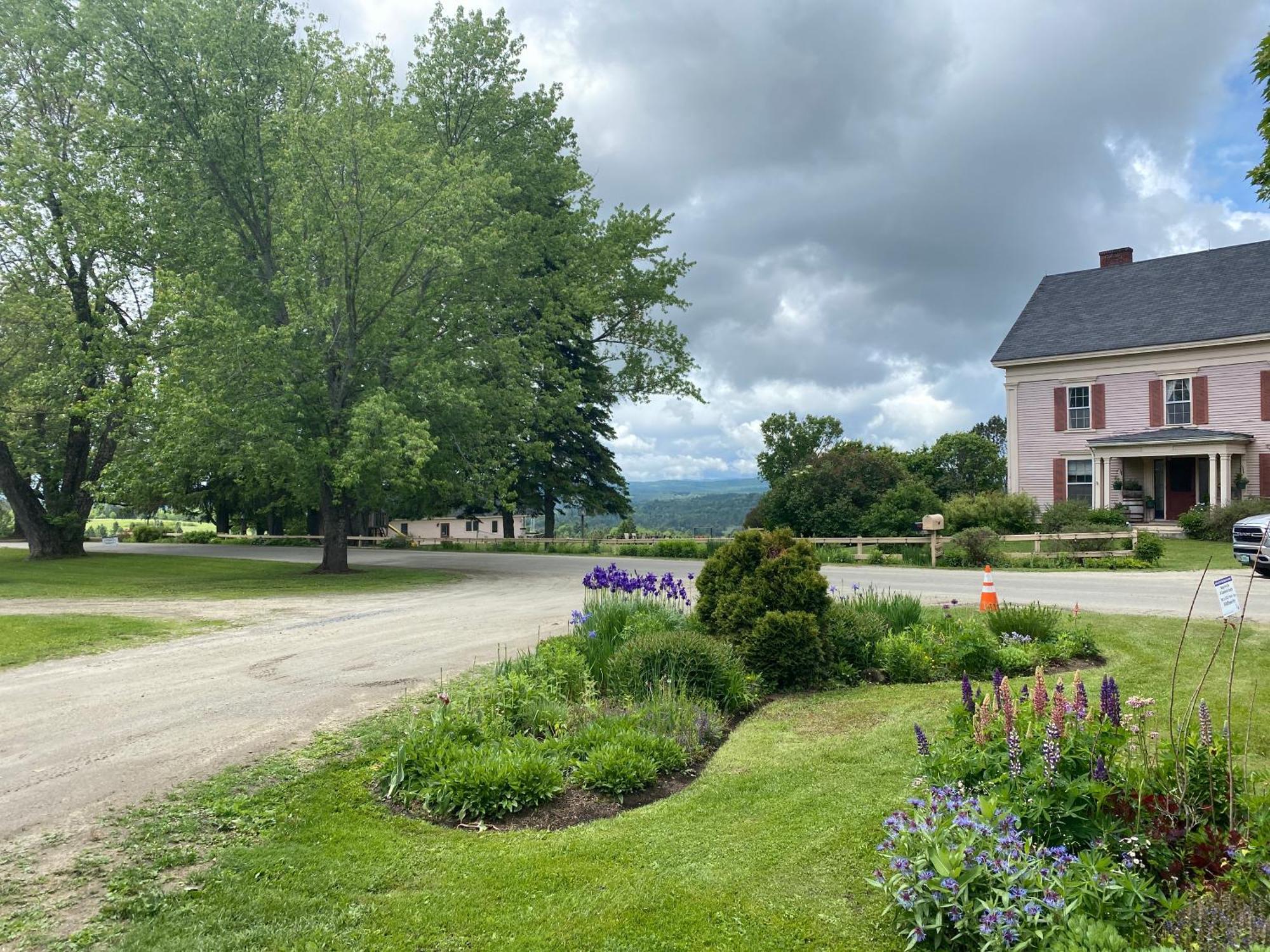The Wildflower 3*